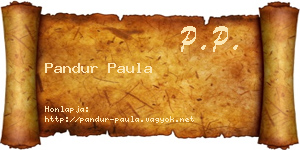 Pandur Paula névjegykártya